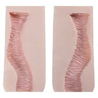 Vagina-Texture-Type C