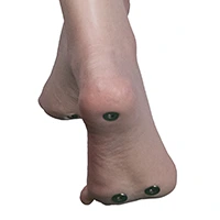 Standing Feet with Bolts