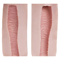 Vagina-Texture-Type A