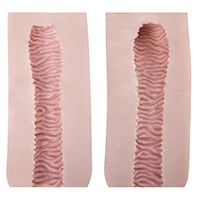 Vagina-Texture-Type B