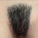 Pubic Hair #3 [+$30.00]