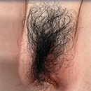Pubic Hair #2 [+$30.00]