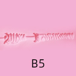 B5