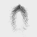 Pubic Hair #1 [+$30.00]