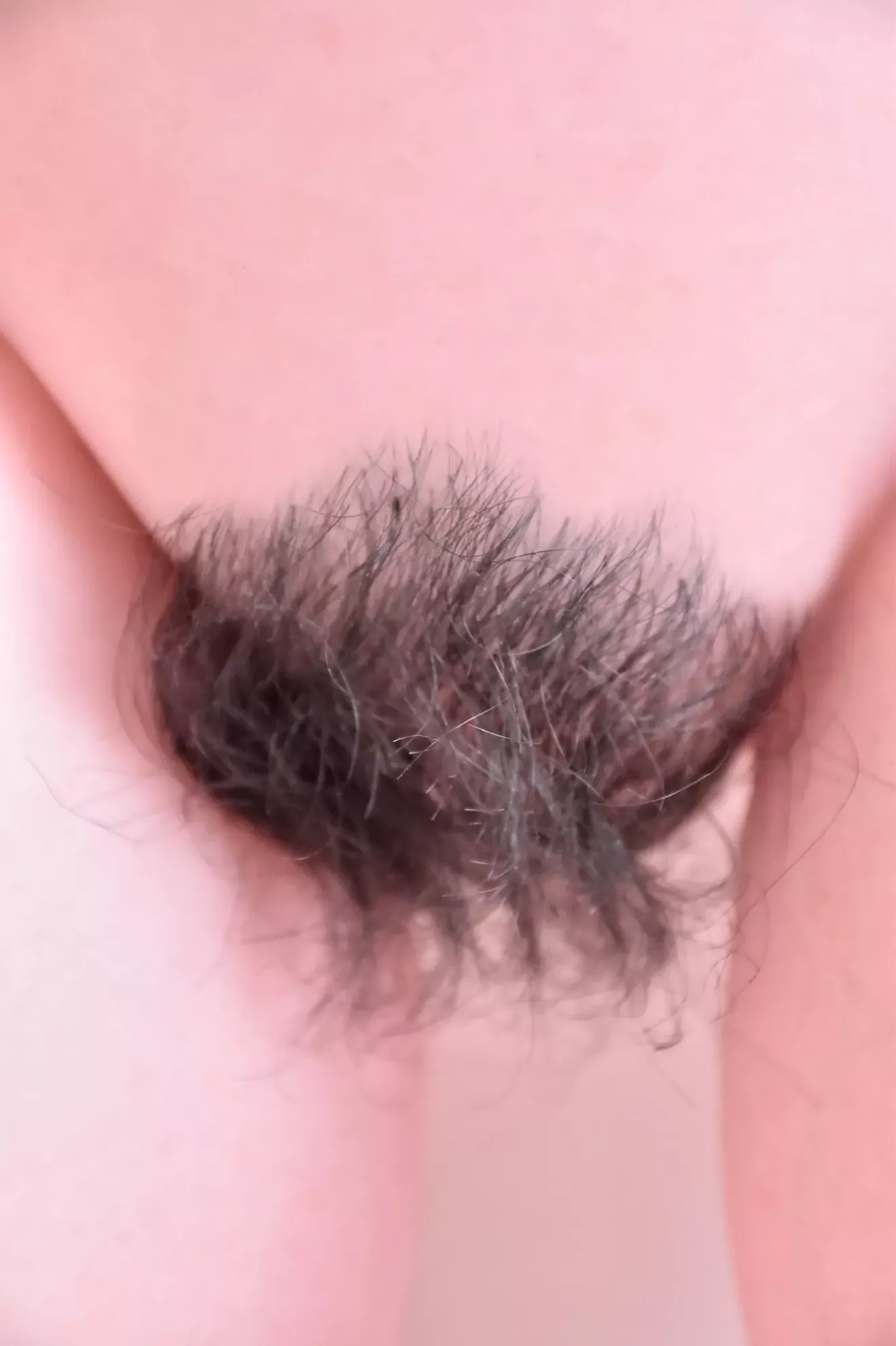 Pubic Hair [+$80.00]