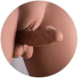 15 cm / 6" [+$80.00]