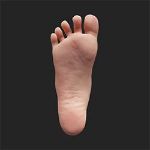 Standing Feet Without Bolts