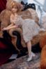 Picture of 150cm / 4ft9 B-cup Susan full silicone sex doll ( M-1)