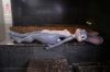 Picture of 168cm/5ft6 A-cup Silicone Sex Doll – Rabitty (Judy Hopps)
