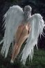 Picture of 164cm/5ft5 D-cup Silicone Sex Doll – Jeremiah