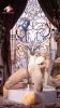 Picture of 165cm/5ft5 F-cup Silicone Sex Doll – Aries (Real Skin Texture Version)