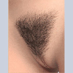Pubic Hair #2 [+$30.00]