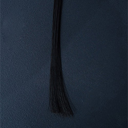 Implanted Human Hair [+$299.00]