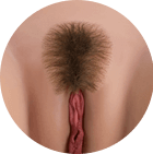 Pubic Hair [+$30.00]