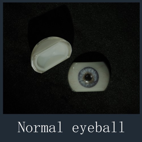 Regular Eyes