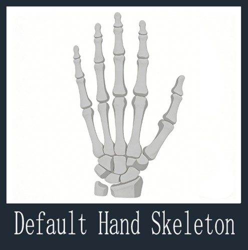 Default Hand Skeleton