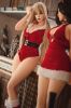 Picture of Sy Doll 164cm/5ft5 D-cup Silicone Sex Doll – Alsa