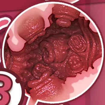 Sucking Wonderland