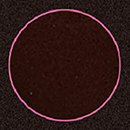 Dark