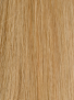 H02
