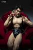 Picture of J-fox 184cm Sugar Boy Male Silicone Sex Doll