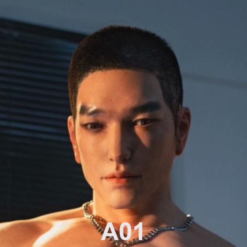 A1