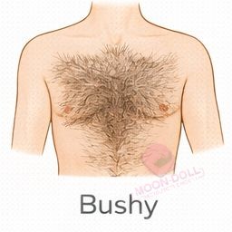 Bushy [+$50.00]