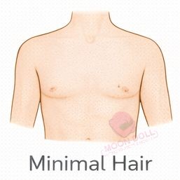 Minimal Hair [+$50.00]
