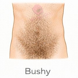 Bushy [+$50.00]
