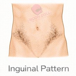 Inguinal [+$50.00]