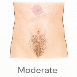Moderate [+$50.00]