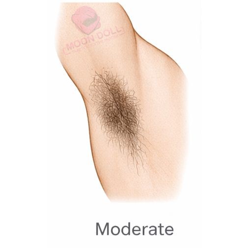 Moderate [+$40.00]