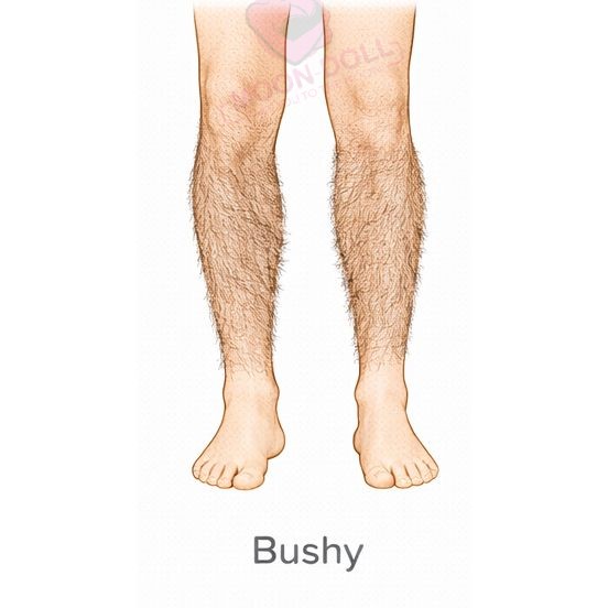 Bushy [+$80.00]