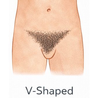 V-Shaped [+$50.00]