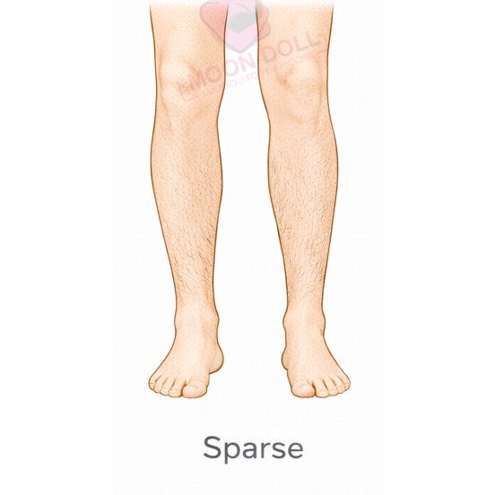 Sparse [+$60.00]
