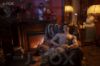 Picture of J-fox 172cm Modern Gentle Male Silicone Sex Doll