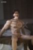 Picture of J-fox 172cm Male Driver Silicone Sex Doll