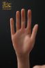 Picture of KuLove Doll | 163cm(5ft4) D-Cup Silicone Sex Doll - Kael