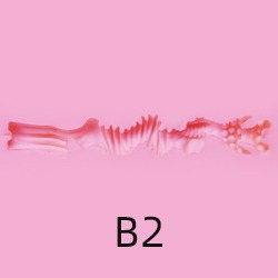 B2