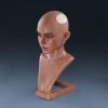 Picture of Real Lady IronAI Head