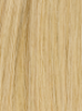 H01