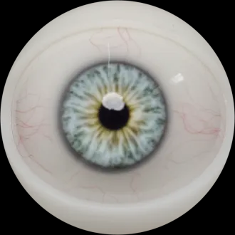 #14