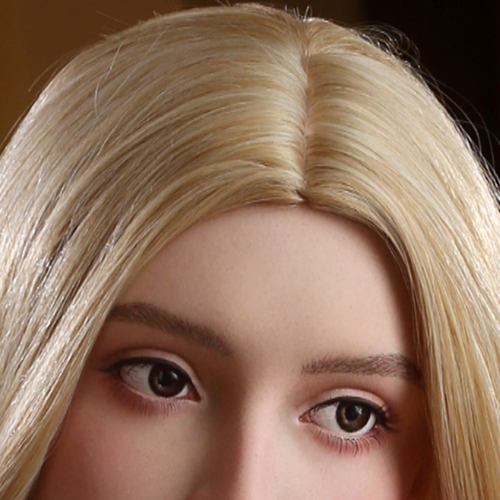 Wig Cover