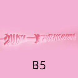 B5