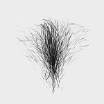Pubic Hair #3 [+$30.00]