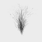 Pubic Hair #4 [+$30.00]