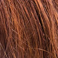 Human_h04
