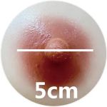 5cm/1.97in