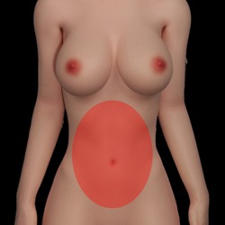 Softer Belly [+$60.00]