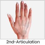 2nd-Articulation [+$100.00]